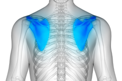 肩甲骨ストレッチとは